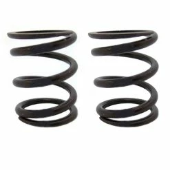 ARC Racing (2) Pack Of 22Lb Valve Springs