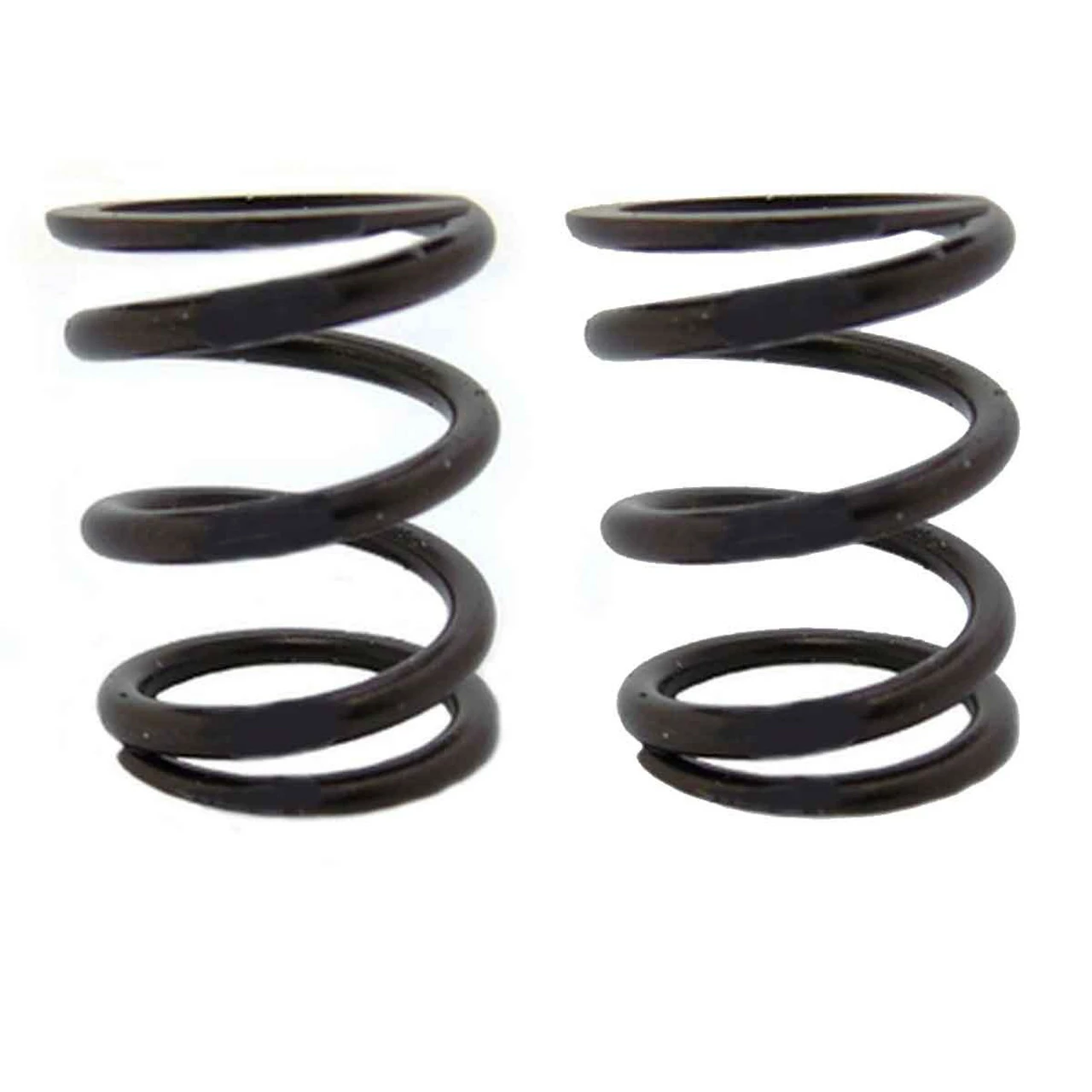 ARC Racing (2) Pack Of 22Lb Valve Springs