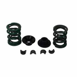 ARC Racing 42# Dual Valve Spring Kit For 5.5mm Stemmed Valves